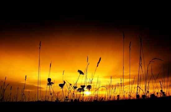 Trauermusiker Christoph Uschner