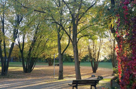 Städtische Friedhöfe von Ahlen / Allgemeine Friedhofsverwaltung Städtische Friedhöfe von Ahlen / Allgemeine Friedhofsverwaltung