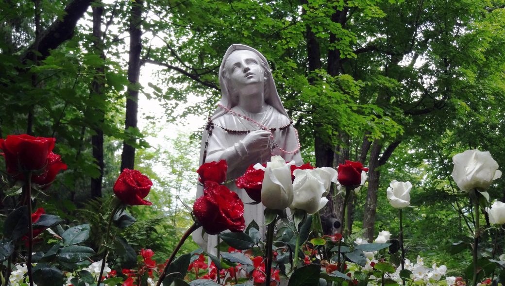 Städtischer Friedhof von Elmshorn / Allgemeine Friedhofsverwaltung