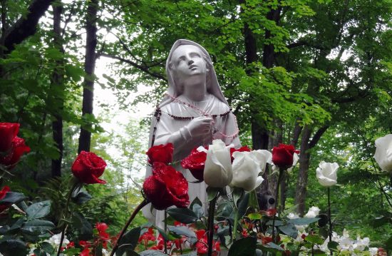 Städtischer Friedhof von Elmshorn / Allgemeine Friedhofsverwaltung