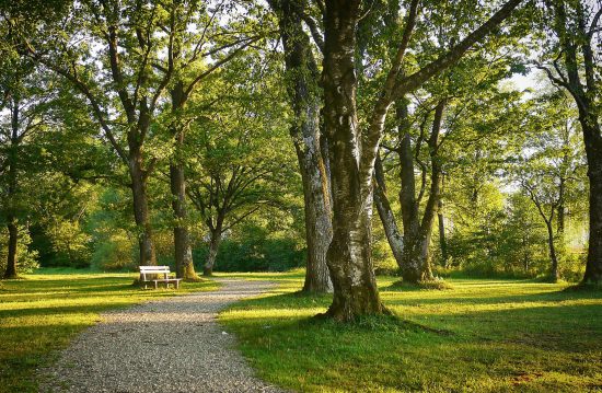 Städtische Friedhöfe von Göppingen / Allgemeine Friedhofsverwaltung