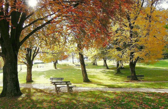 Städtische Friedhöfe von Hattingen / Allgemeine Friedhofsverwaltung Städtische Friedhöfe von Hattingen / Allgemeine Friedhofsverwaltung