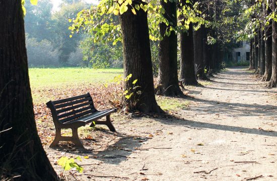 Städtische Friedhöfe von Ibbenbüren / Allgemeine Friedhofsverwaltung Städtische Friedhöfe von Ibbenbüren / Allgemeine Friedhofsverwaltung