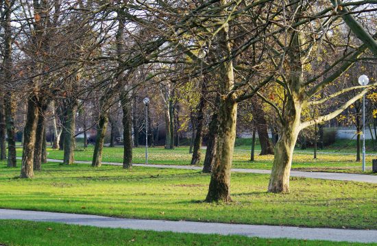 Städtische Friedhöfe von Lörrach / Allgemeine Friedhofsverwaltung