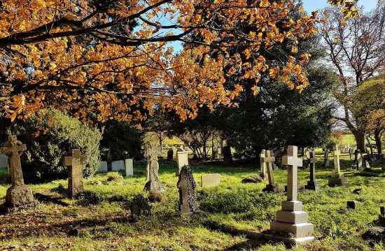 Städtische Friedhöfe von Meerbusch / Allgemeine Friedhofsverwaltung Städtische Friedhöfe von Meerbusch / Allgemeine Friedhofsverwaltung