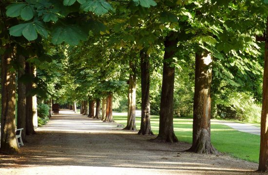 Städtische Friedhöfe von Menden / Allgemeine Friedhofsverwaltung Städtische Friedhöfe von Menden / Allgemeine Friedhofsverwaltung