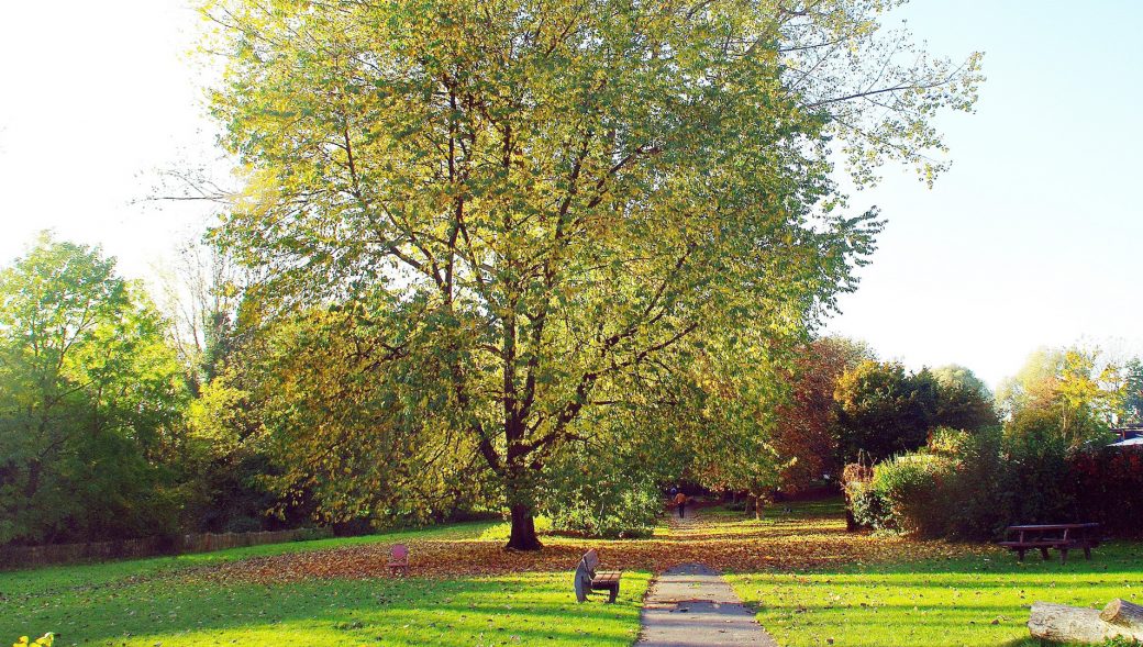 Städtische Friedhöfe von Ravensburg / Allgemeine Friedhofsverwaltung