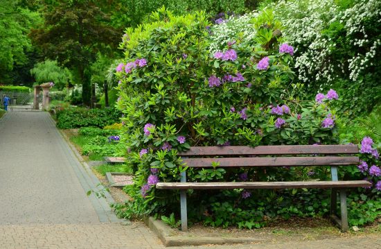 Städtische Friedhöfe von Sankt Augustin / Allgemeine Friedhofsverwaltung Städtische Friedhöfe von Sankt Augustin / Allgemeine Friedhofsverwaltung