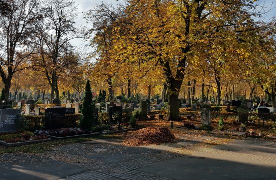 Städtische Friedhöfe von Waiblingen / Abteilung Grünflächen und Friedhöfe Städtische Friedhöfe von Waiblingen / Abteilung Grünflächen und Friedhöfe