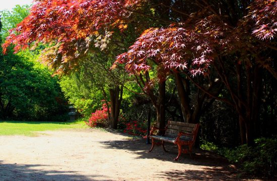 Städtische Friedhöfe von Wesel / Allgemeine Friedhofsverwaltung Städtische Friedhöfe von Wesel / Allgemeine Friedhofsverwaltung