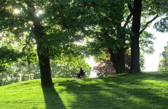 Städtische Friedhöfe von Willich / Allgemeine Friedhofsverwaltung Städtische Friedhöfe von Willich / Allgemeine Friedhofsverwaltung