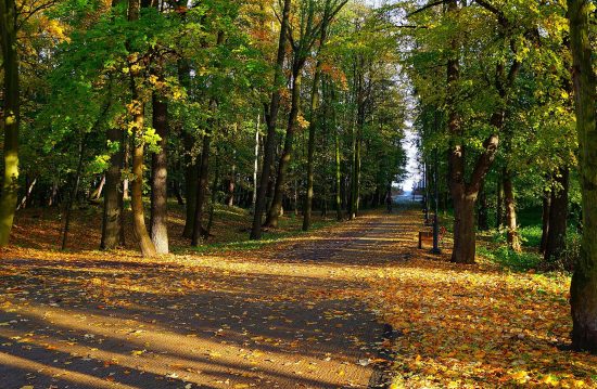 Städtische Friedhöfe von Alsdorf / Allgemeine Friedhofsverwaltung Städtische Friedhöfe von Alsdorf / Allgemeine Friedhofsverwaltung