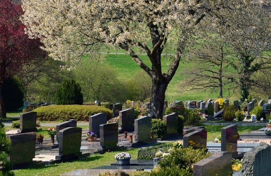 Städtische Friedhöfe von Bornheim / Allgemeine Friedhofsverwaltung Städtische Friedhöfe von Bornheim / Allgemeine Friedhofsverwaltung