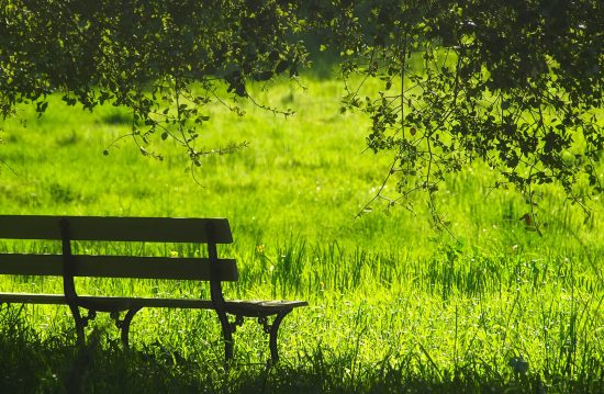 Städtische Friedhöfe von Filderstadt / Tiefbauamt
