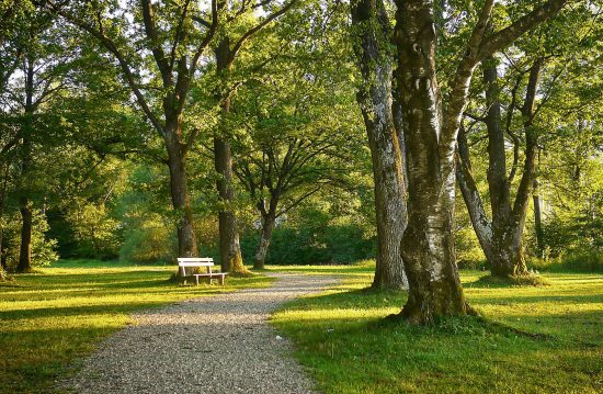 Städtische Friedhöfe von Hennef (Sieg) / Allgemeine Friedhofsverwaltung Städtische Friedhöfe von Hennef (Sieg) / Allgemeine Friedhofsverwaltung