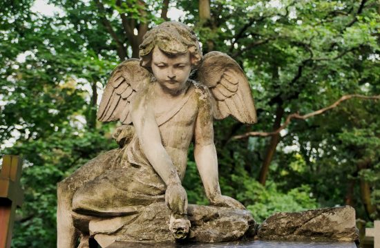 Städtische Friedhöfe von Hof / Fachbereich Hoch- und Tiefbau, Grünanlagen Städtische Friedhöfe von Hof / Fachbereich Hoch- und Tiefbau, Grünanlagen