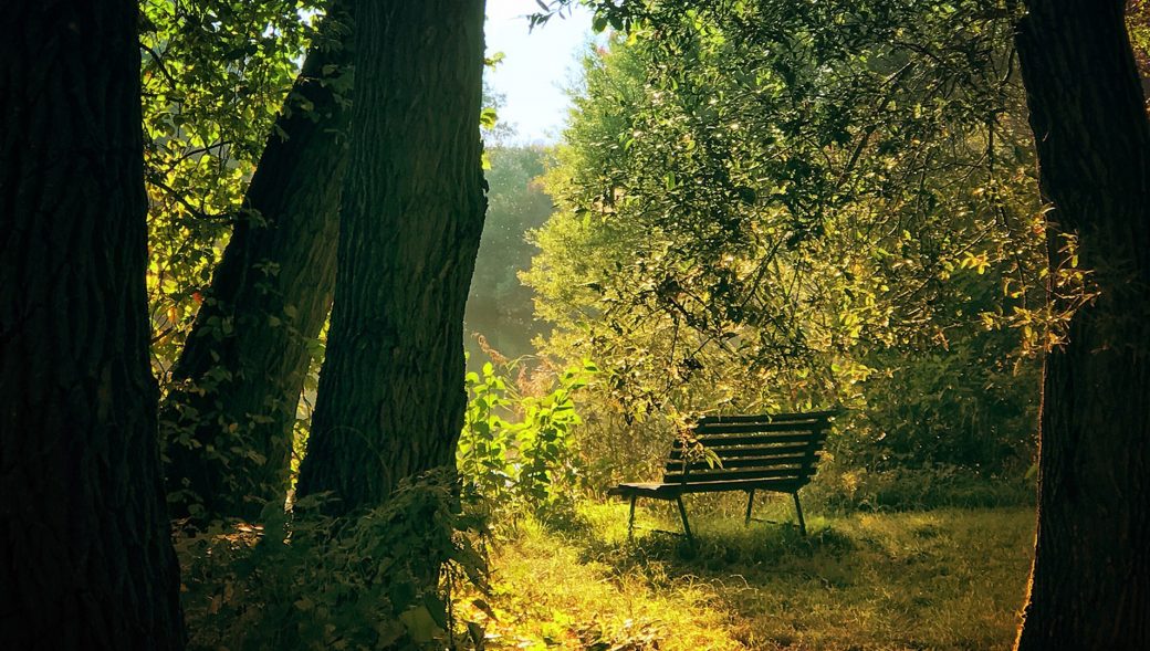 Städtische Friedhöfe von Lahr/Schwarzwald / Allgemeine Friedhofsverwaltung