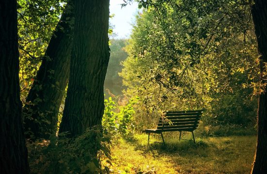 Städtische Friedhöfe von Lahr/Schwarzwald / Allgemeine Friedhofsverwaltung