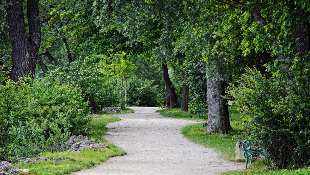 Städtische Friedhöfe von Soest / Allgemeine Friedhofsverwaltung