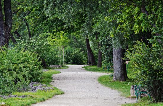 Städtische Friedhöfe von Soest / Allgemeine Friedhofsverwaltung Städtische Friedhöfe von Soest / Allgemeine Friedhofsverwaltung
