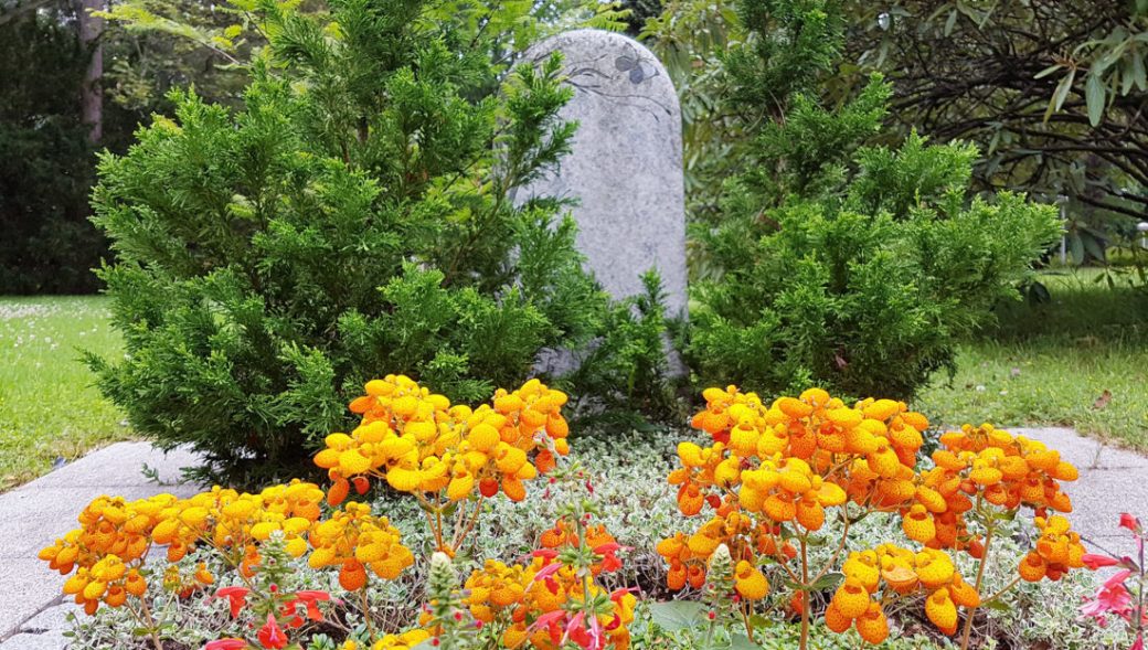 Katholischer Friedhof Essen Schönebeck