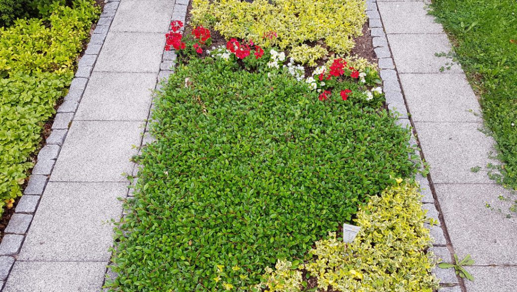 Friedhof Altenessen-Süd Essen