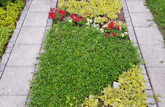 Jüdischer Friedhof Ottensen in Hamburg Jüdischer Friedhof Ottensen in Hamburg