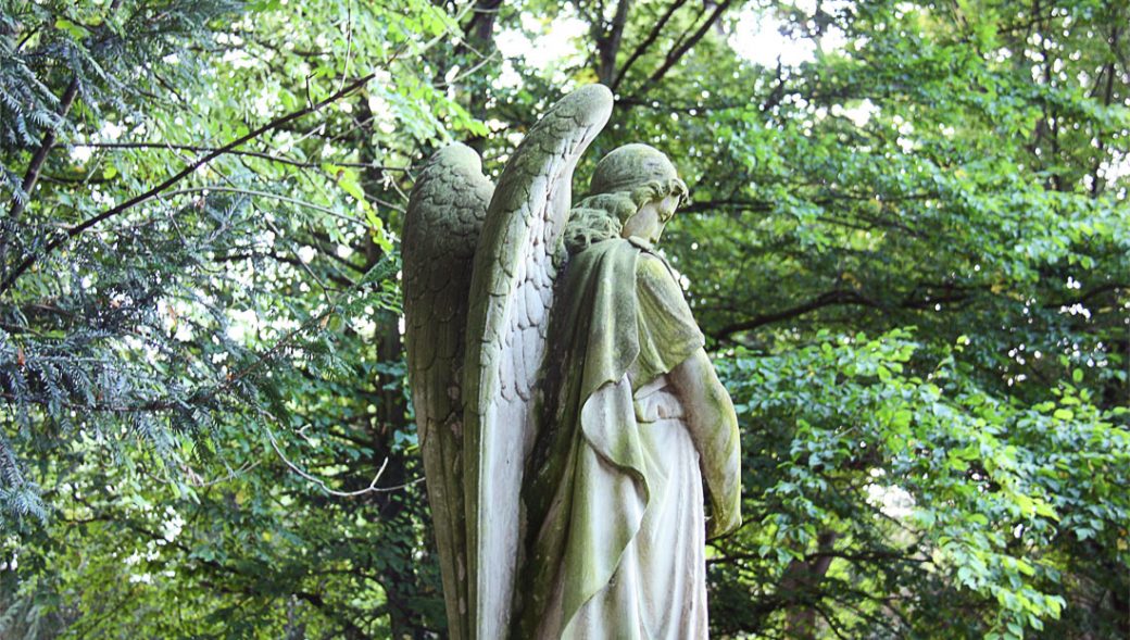 Der Ld. Friedhof Pankow VI in Berlin-Niederschönhausen