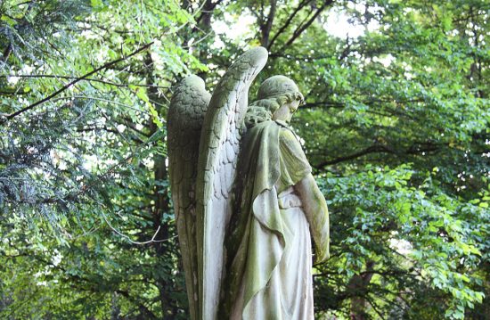 Der Ld. Friedhof Pankow VI in Berlin-Niederschönhausen Der Ld. Friedhof Pankow VI in Berlin-Niederschönhausen