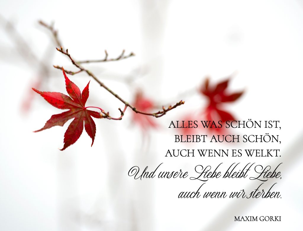 Trauerkarte mit Trauerspruch