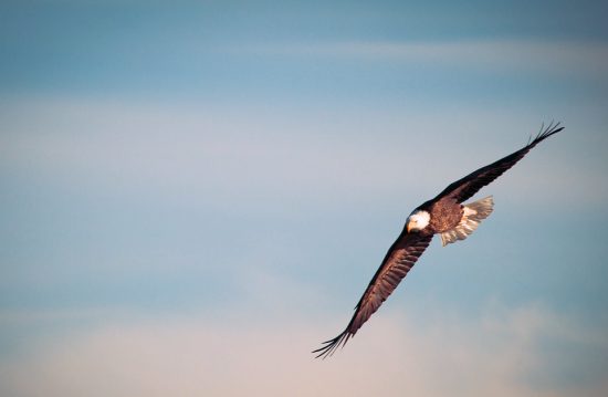Trauerrednerin Karin Koch – Grabreden & Trauerreden