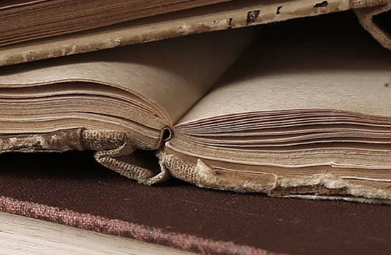 Freiberufliche Rednerin für Trauerfeiern Kathrin Knaak