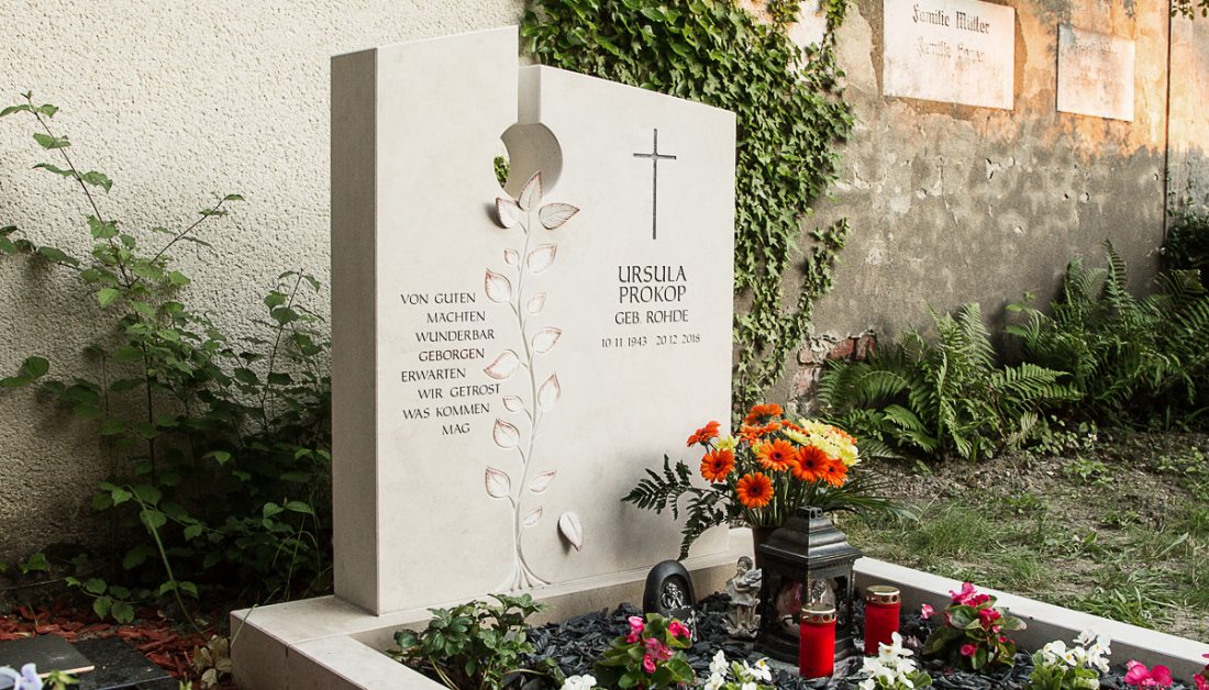 Shop the Look Shop the Look