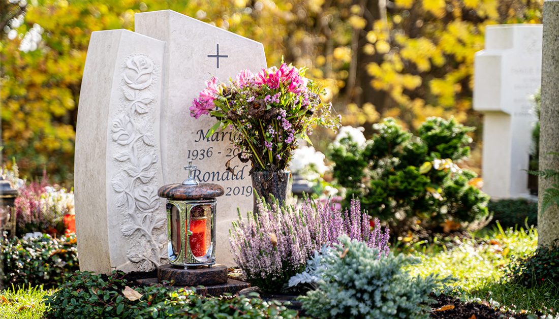 Shop the Look Shop the Look