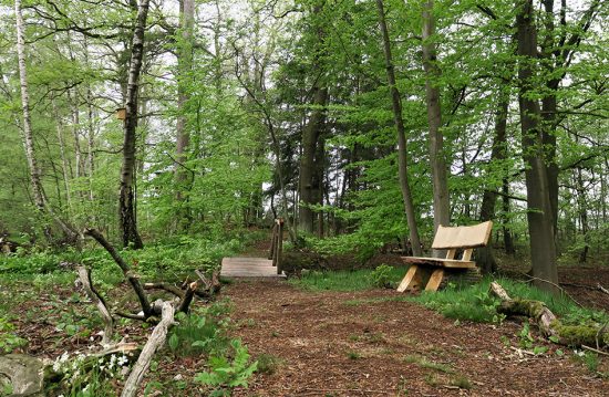 Ruhewald Rittergut Ribbesbüttel GmbH Ruhewald Rittergut Ribbesbüttel GmbH